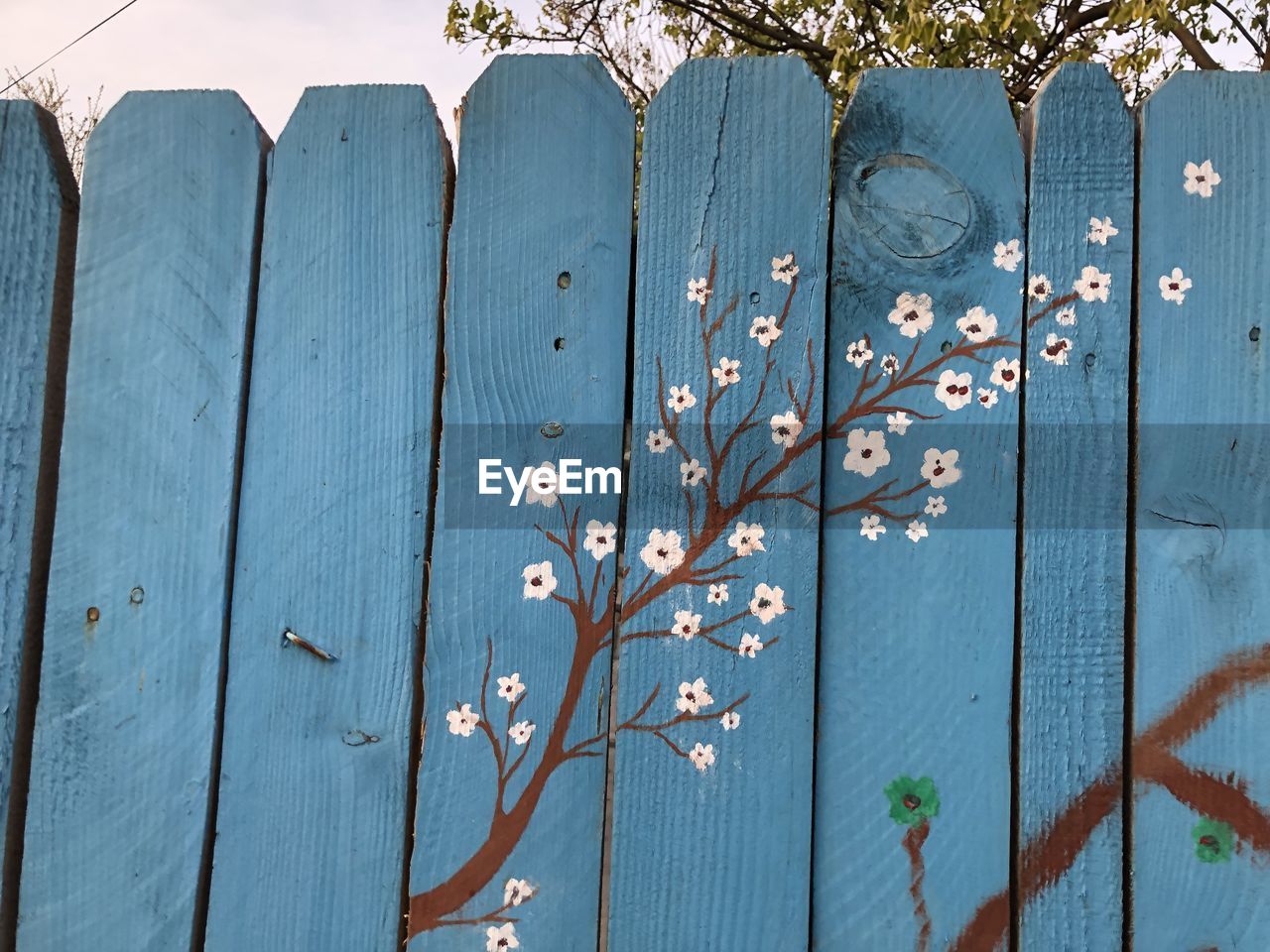 CLOSE-UP OF PLANTS GROWING ON FENCE
