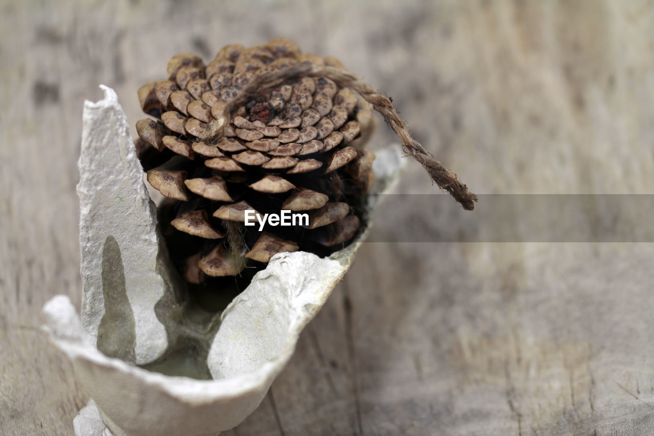 Close-up of pine cone on wood