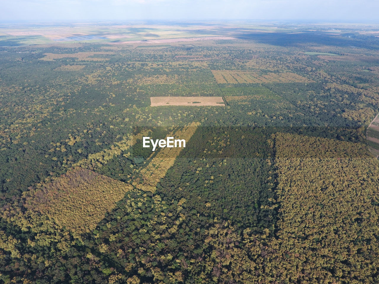 HIGH ANGLE VIEW OF FIELD