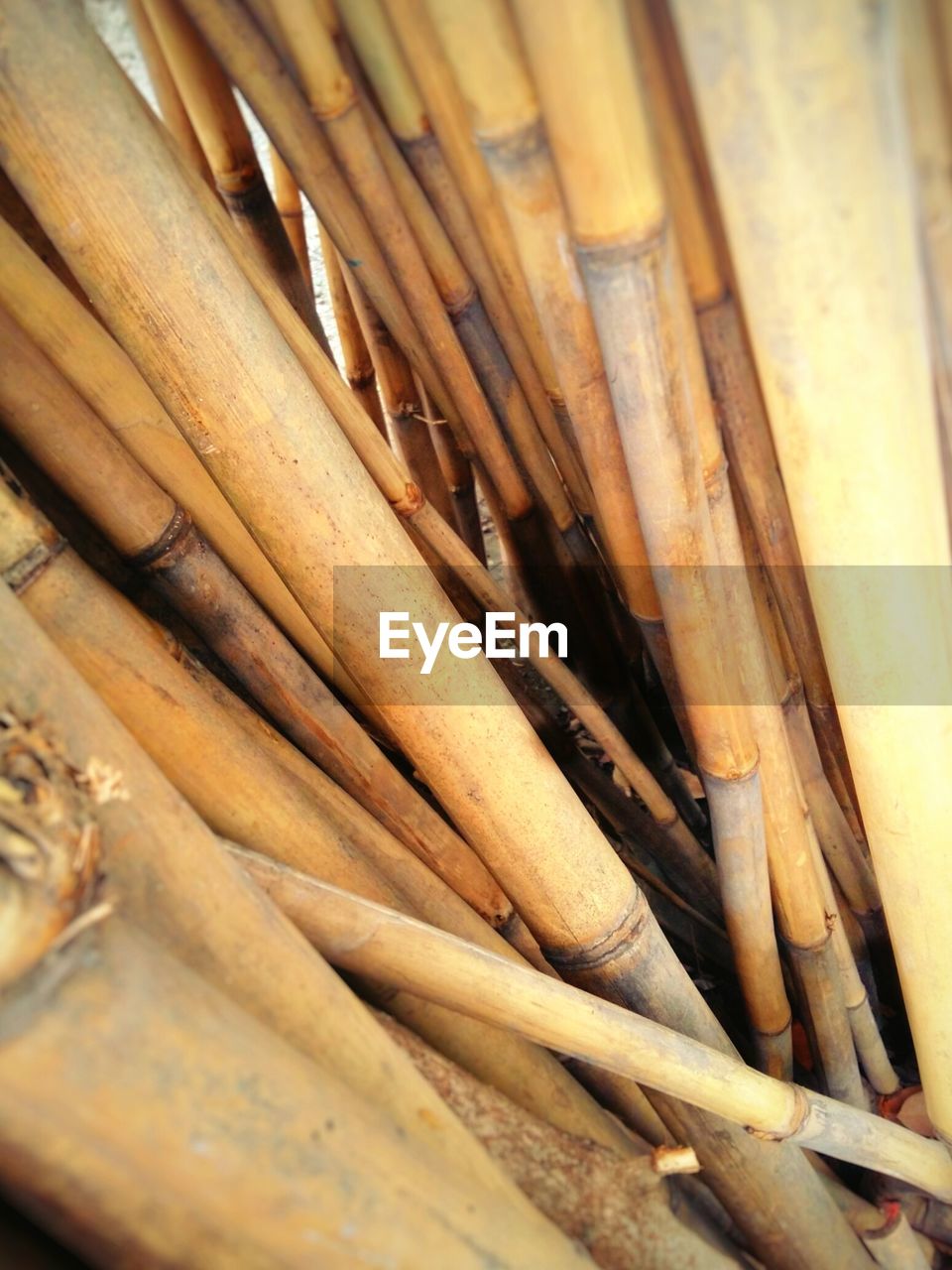 CLOSE-UP OF BAMBOO ON WOODEN FLOOR