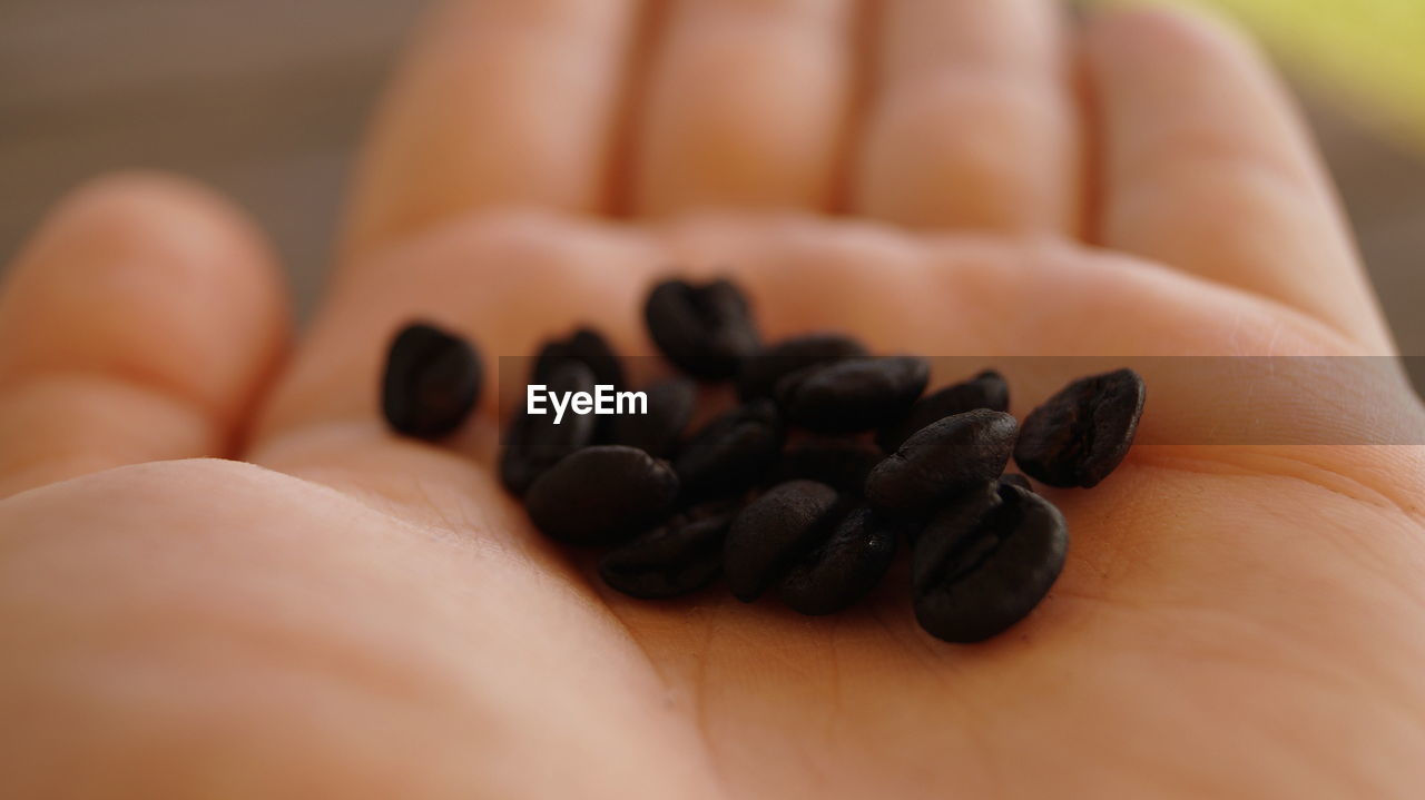 CLOSE-UP OF HAND HOLDING BLACK COFFEE BEANS