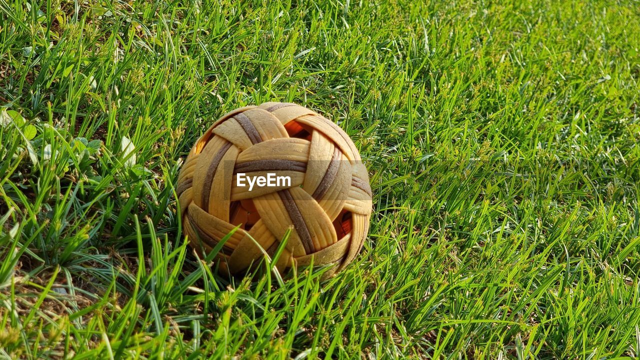 grass, green, plant, ball, lawn, soccer, nature, sports, field, day, land, no people, high angle view, sports equipment, team sport, soccer ball, outdoors, meadow, growth, playing field, sunlight