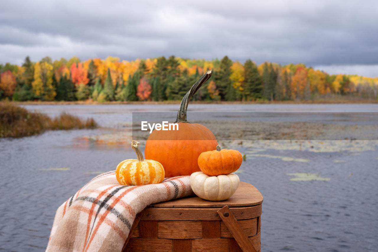 Stacked pumpkins and a plaid blanket on a picnic basket at the lake on a fall day