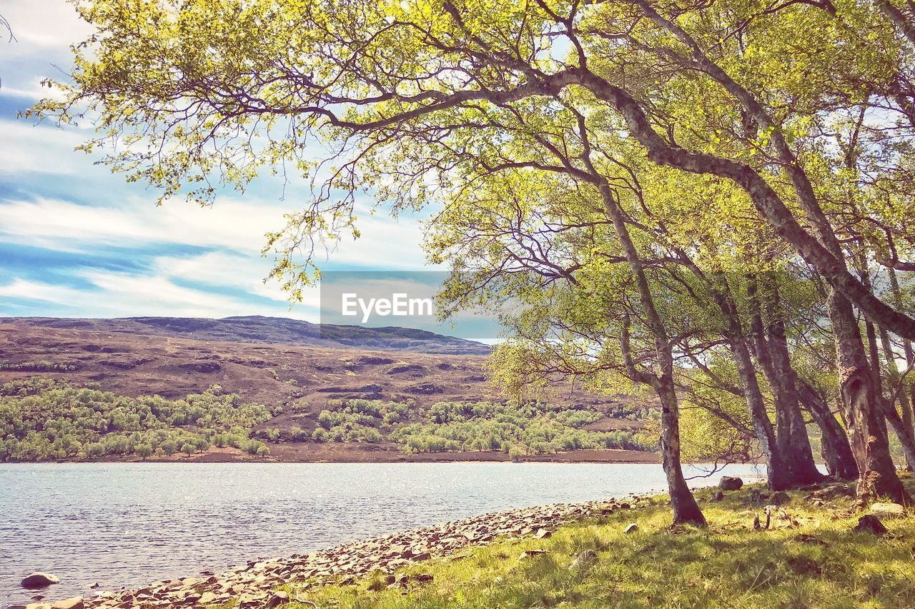 SCENIC VIEW OF LAKE BY TREE MOUNTAIN AGAINST SKY