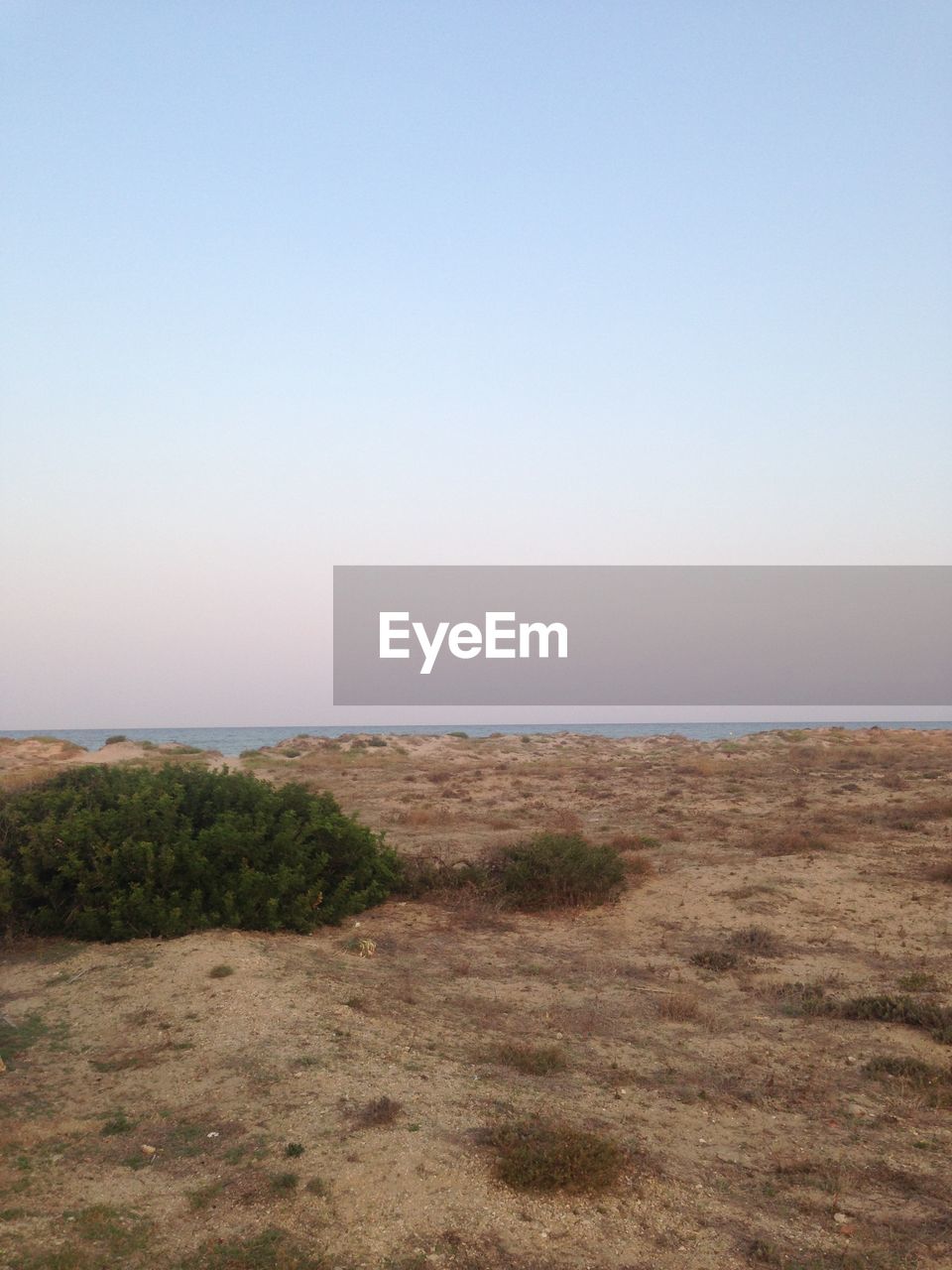 TRANQUIL SCENE OF BEACH AGAINST CLEAR SKY