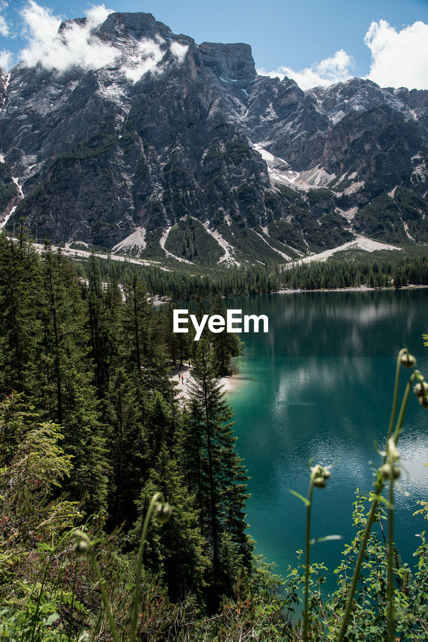 SCENIC VIEW OF LAKE BY MOUNTAINS AGAINST TREES