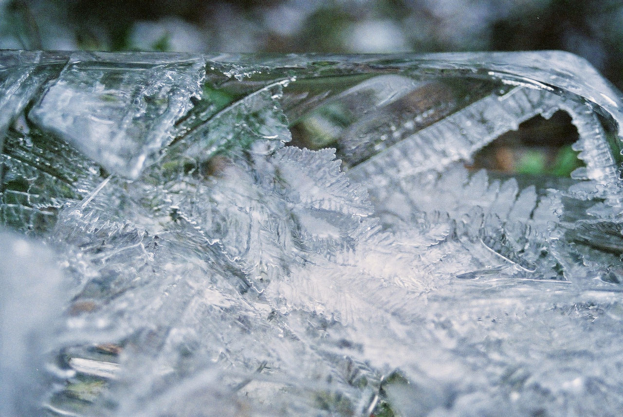 Close-up of snowflakes