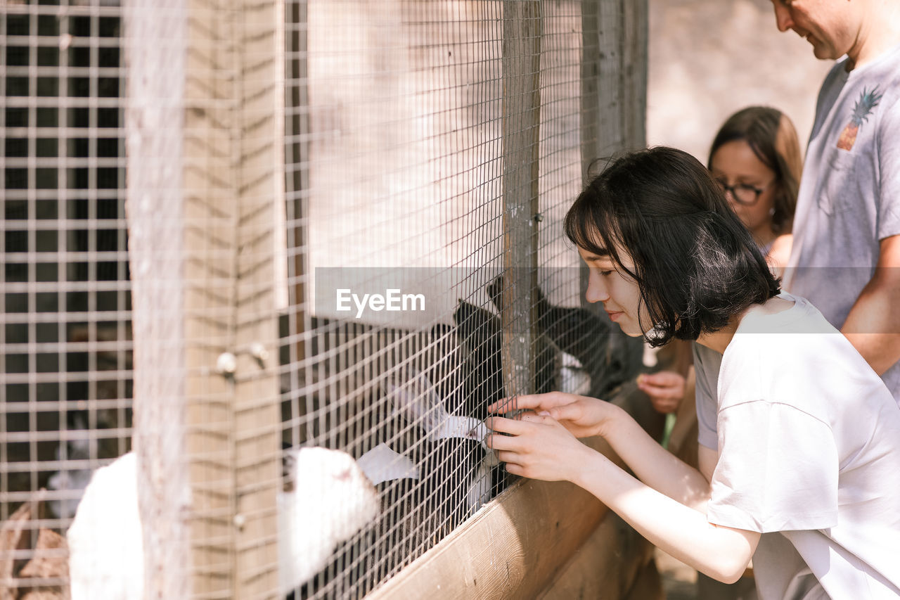 A girl feeds rabbits on a farm