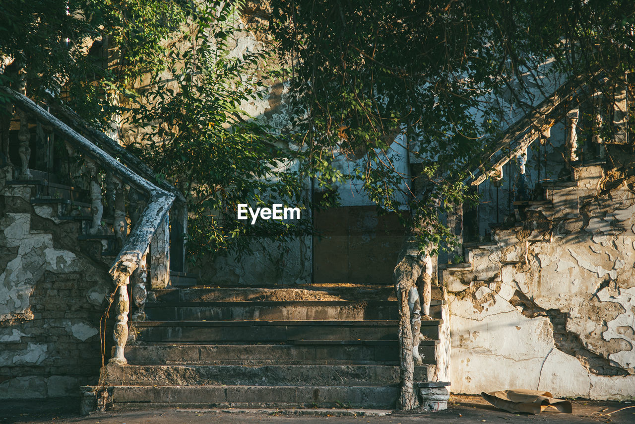 LOW ANGLE VIEW OF OLD STEPS AMIDST TREES AND BUILDING