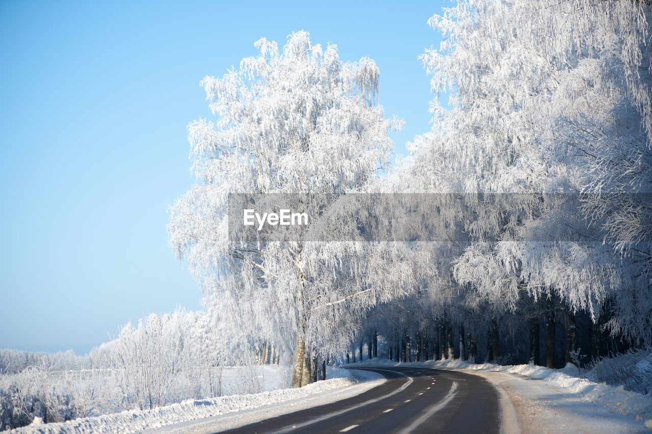 winter, snow, cold temperature, tree, road, plant, nature, transportation, frost, sky, freezing, the way forward, blue, beauty in nature, scenics - nature, environment, white, no people, frozen, landscape, day, tranquil scene, tranquility, non-urban scene, land, diminishing perspective, pine tree, clear sky, empty road, outdoors, coniferous tree, country road, forest, mountain, ice, pinaceae, sunlight, snowing, mountain range, travel, vanishing point, pine woodland, sign