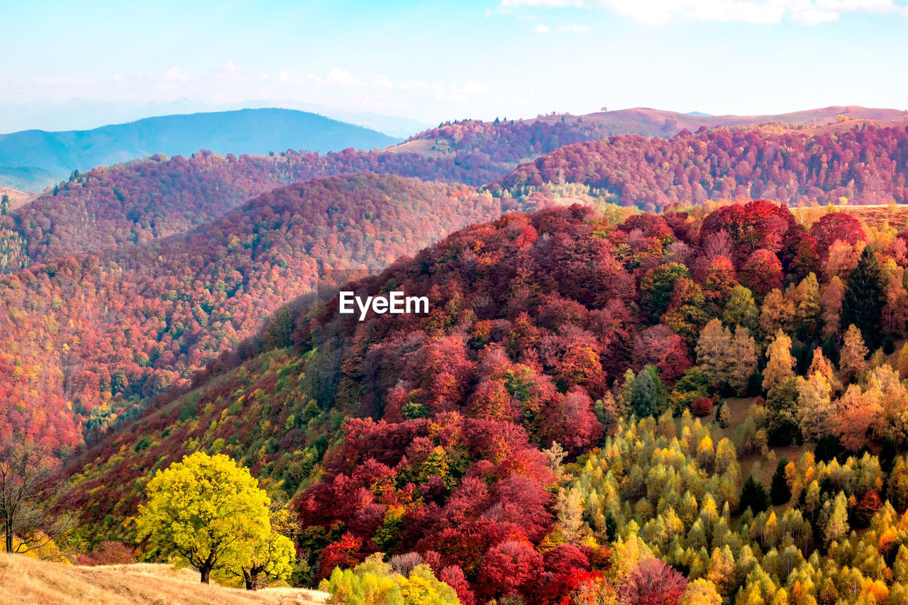 Romanian mountains in autumn season, cindrel mountains, paltinis area, sibiu county, central romania