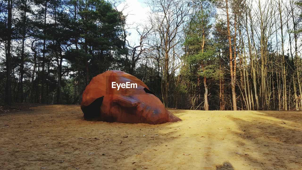 MAN RELAXING ON FIELD