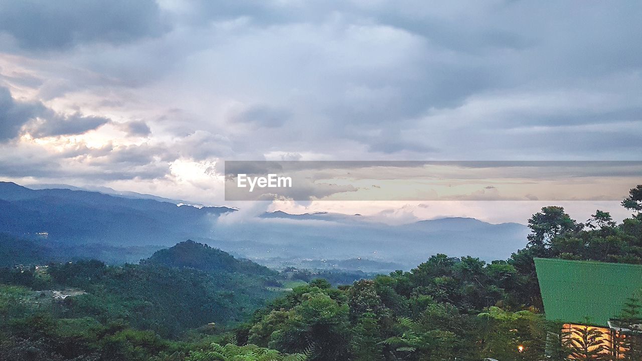 HIGH ANGLE VIEW OF TREES ON LANDSCAPE AGAINST SKY