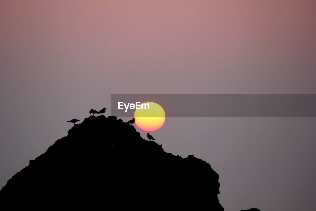 Low angle view of silhouette sun against clear sky during sunset