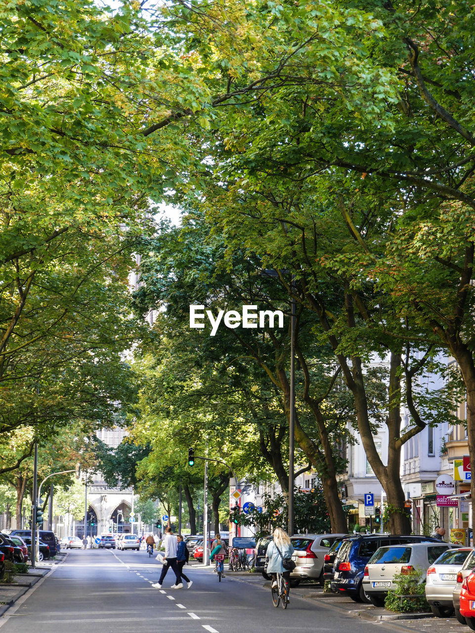 Vehicles on road amidst trees in city