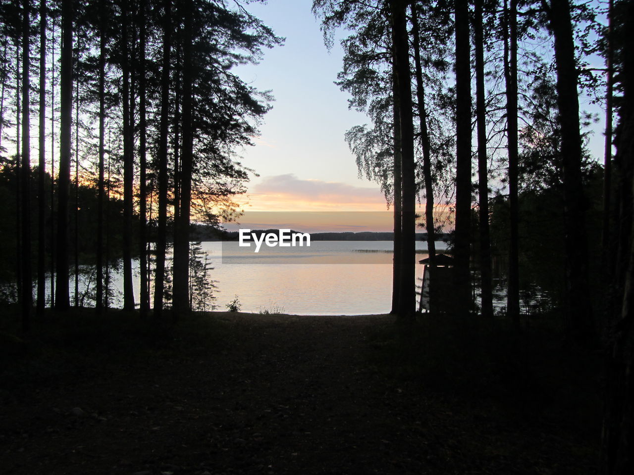 Silhouette trees by lake against sky at sunset