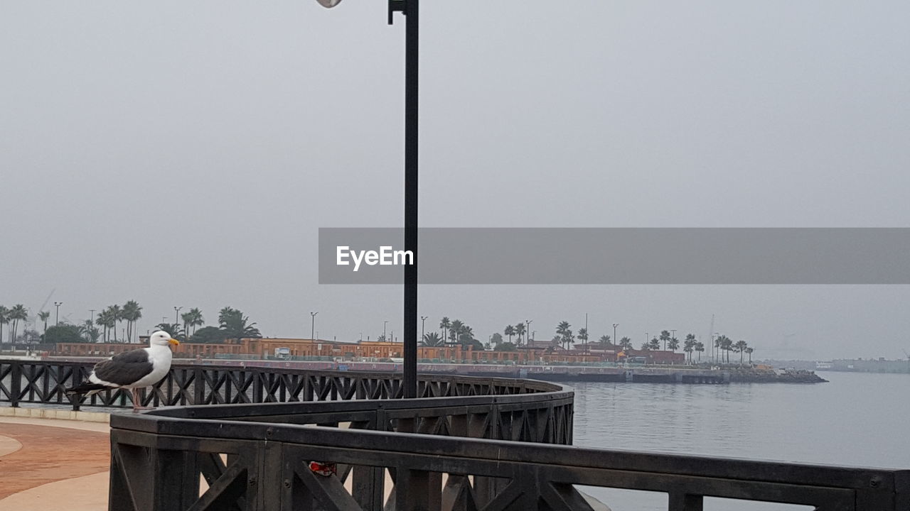 VIEW OF BRIDGE AGAINST SKY