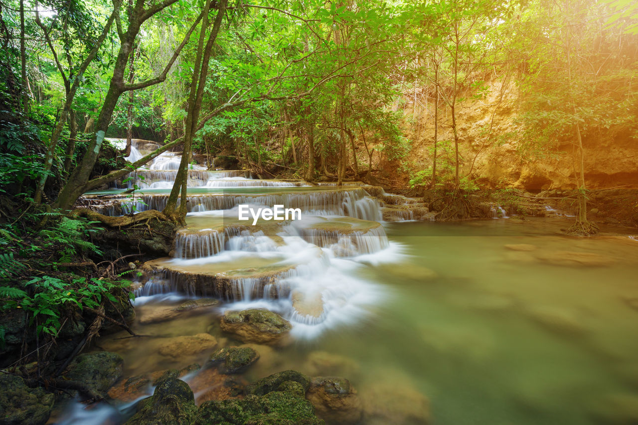 STREAM FLOWING IN FOREST