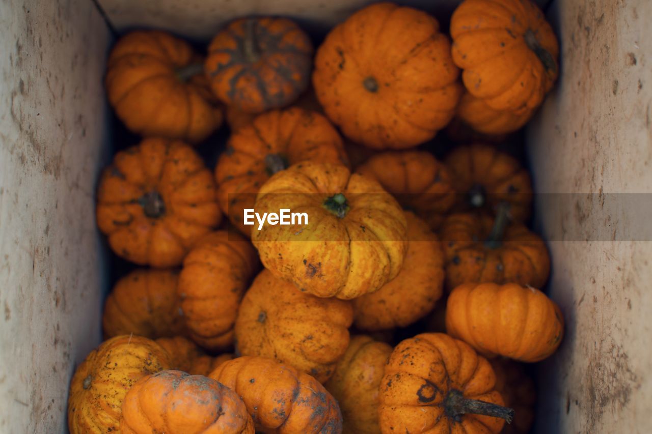 High angle view of pumpkins for sale in market