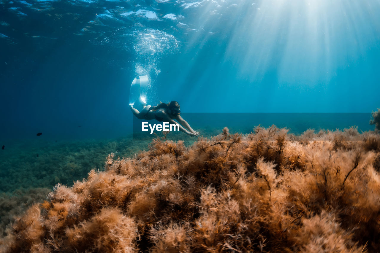 high angle view of woman swimming in sea