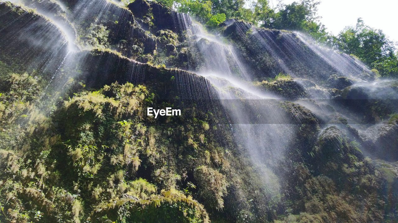 Low angle view of waterfall against trees