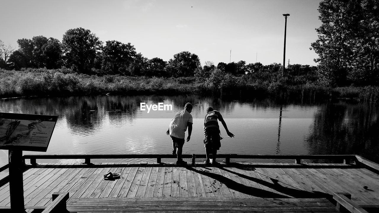 TREES IN LAKE