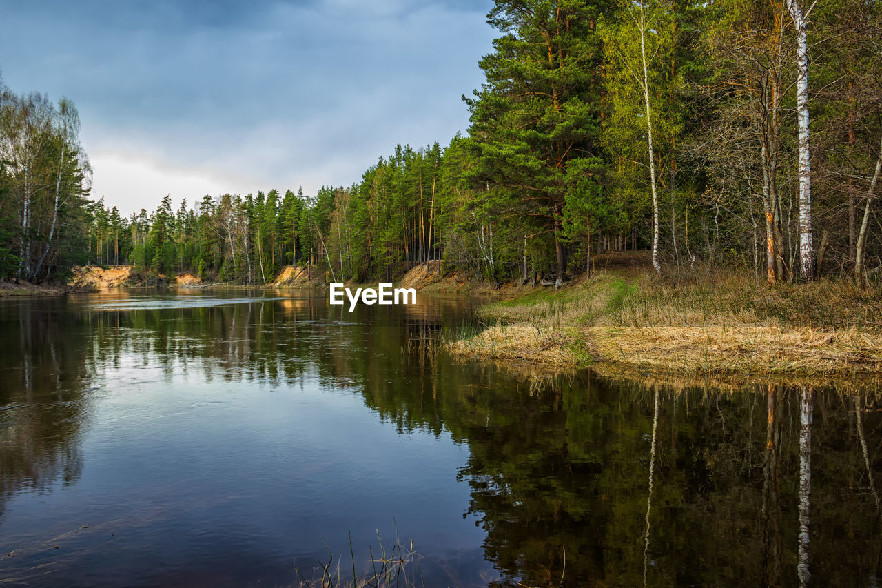 Scenic view of lake by trees against sky