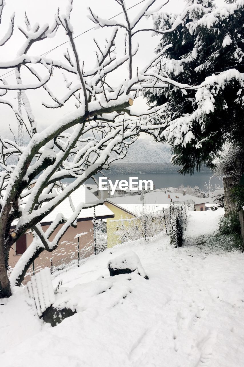 SNOW COVERED LANDSCAPE AGAINST BARE TREES