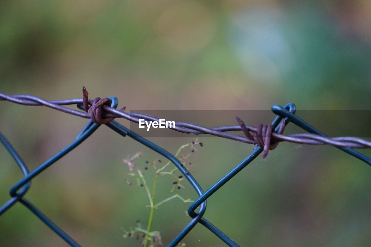 CLOSE-UP OF BARBED WIRE FENCE AGAINST BLURRED BACKGROUND