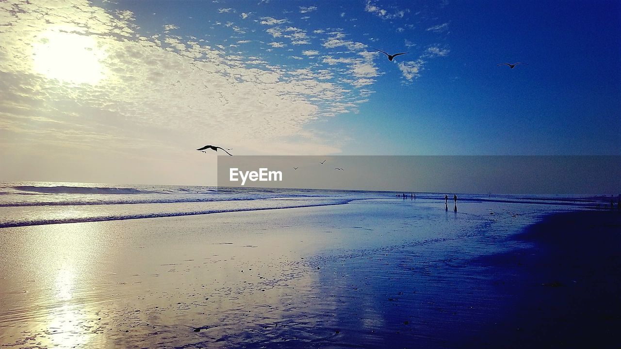 SEAGULLS FLYING OVER BEACH AGAINST SKY