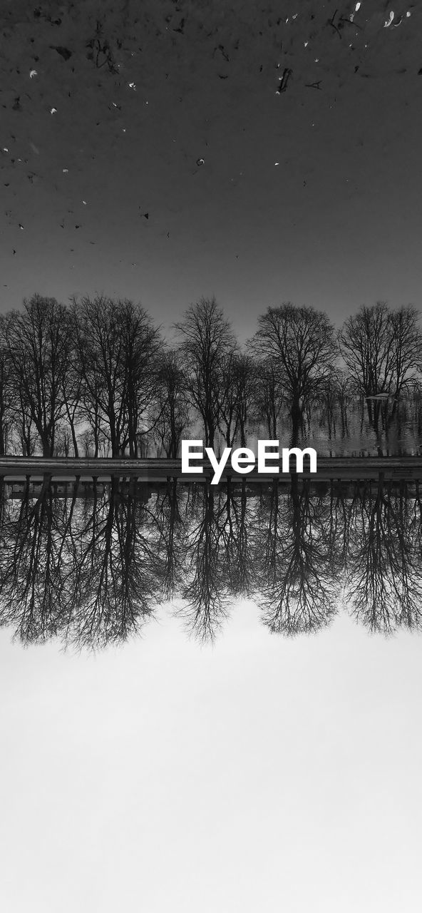TREES BY LAKE AGAINST SKY DURING WINTER
