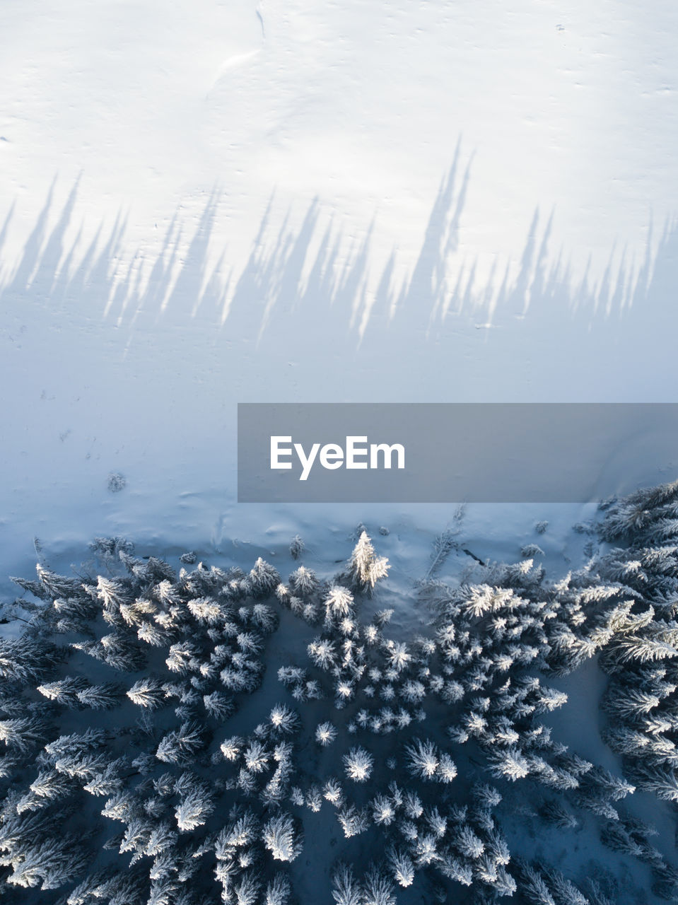 Aerial view of frozen trees on snow covered landscape