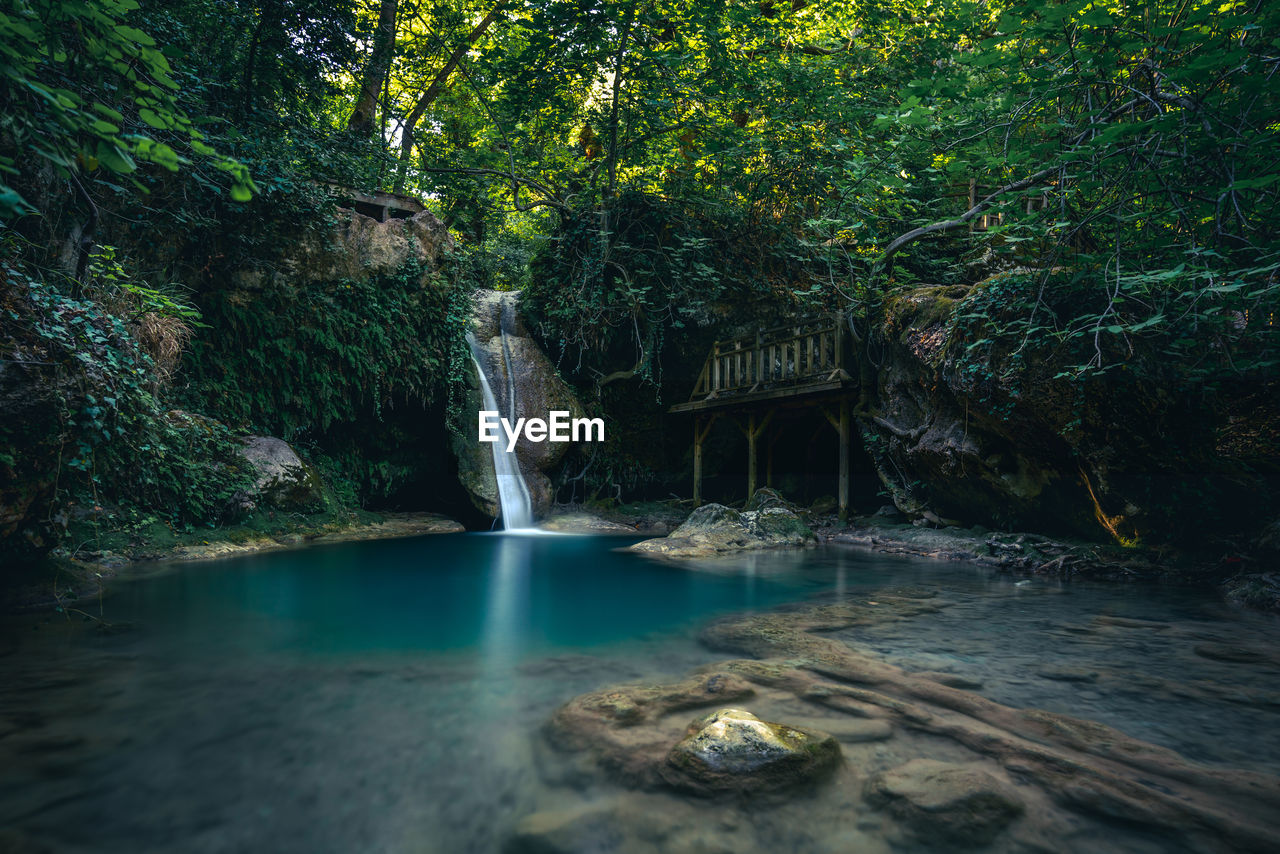 Scenic view of waterfall in forest