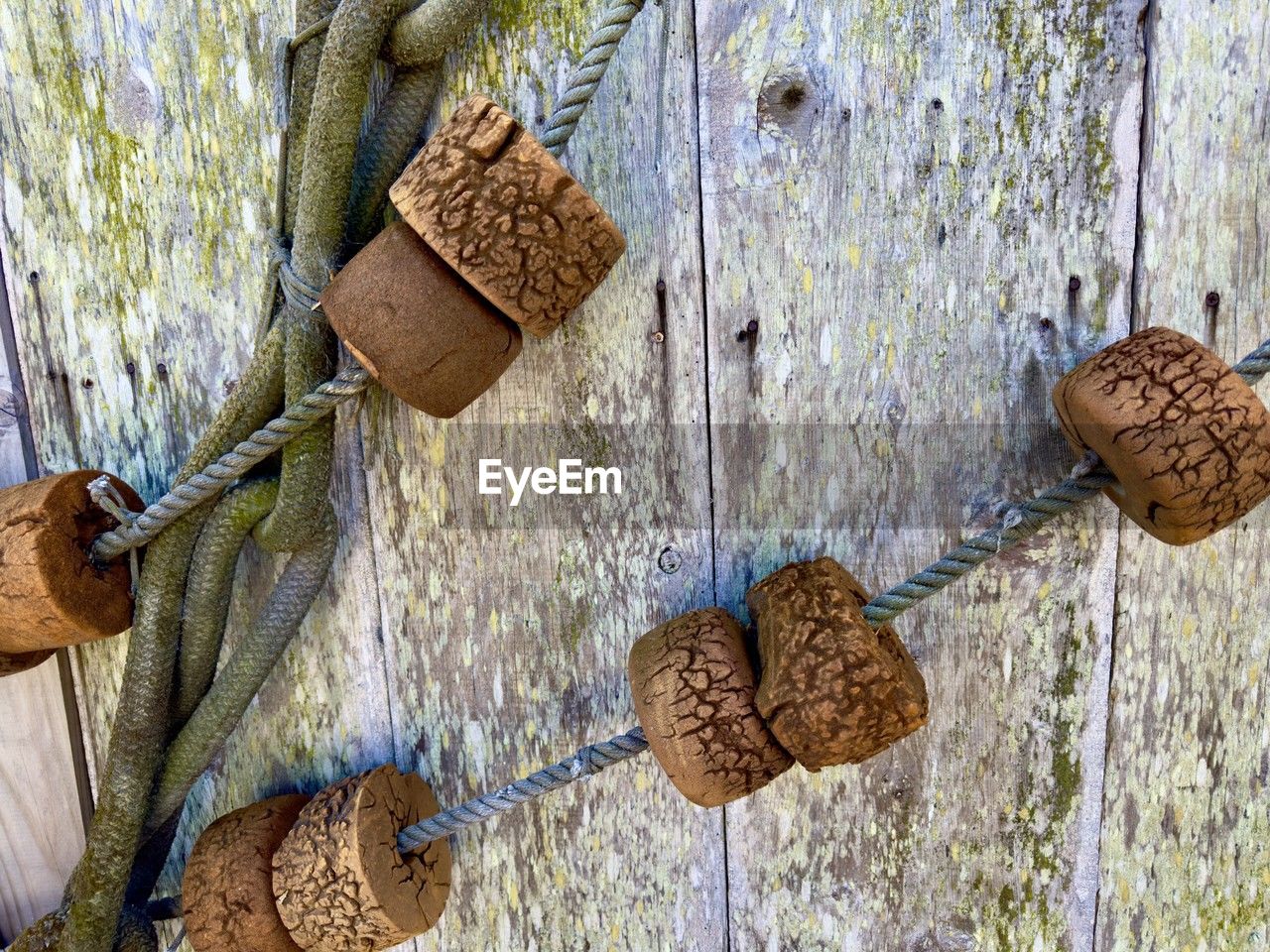 wood, hanging, no people, day, close-up, rope, outdoors, nature, metal, leaf, brown, plant