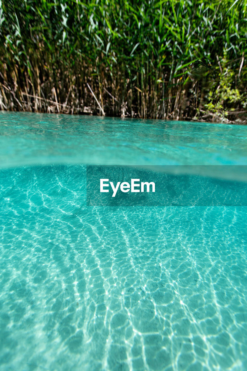 SCENIC VIEW OF SWIMMING POOL