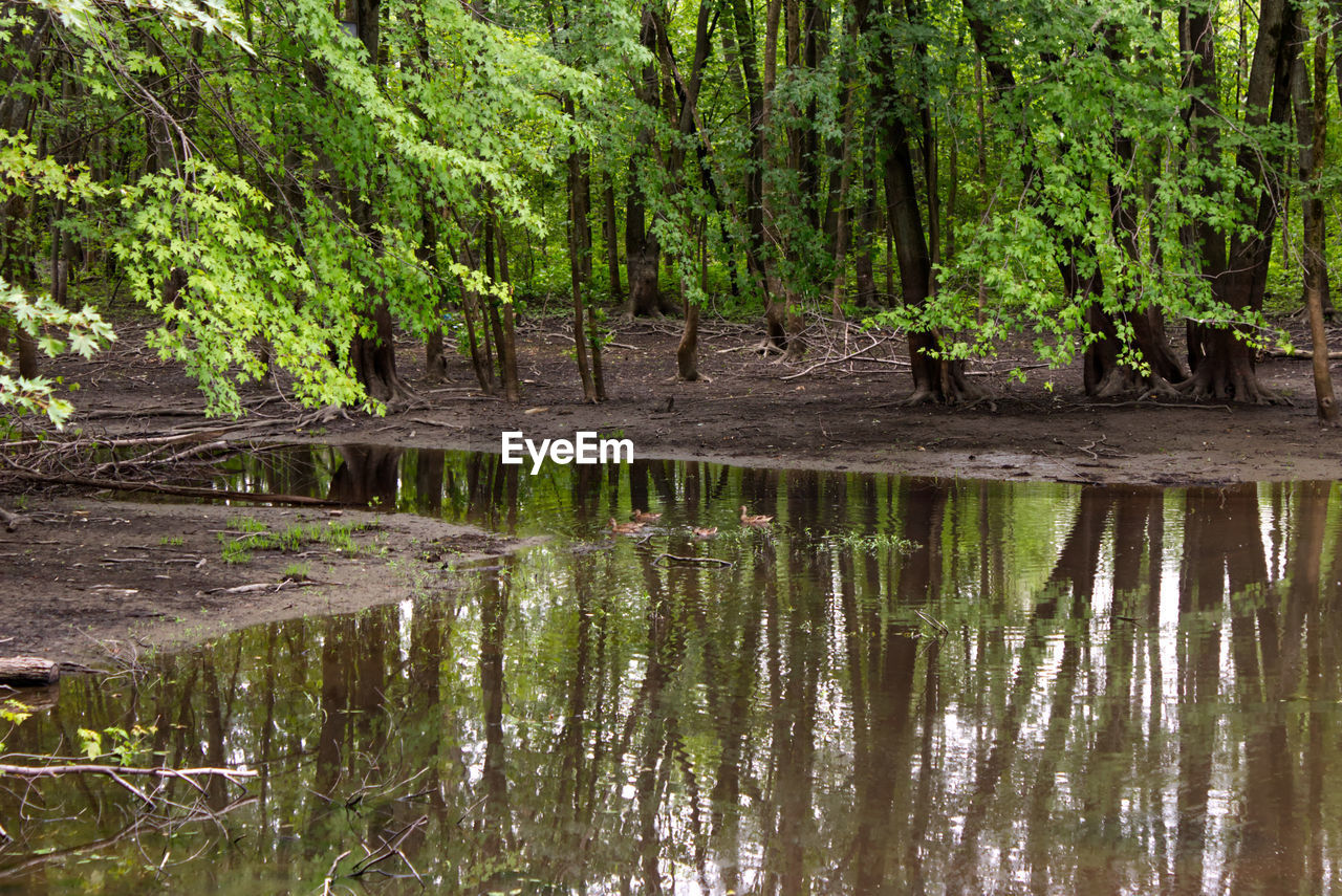 SCENIC VIEW OF LAKE