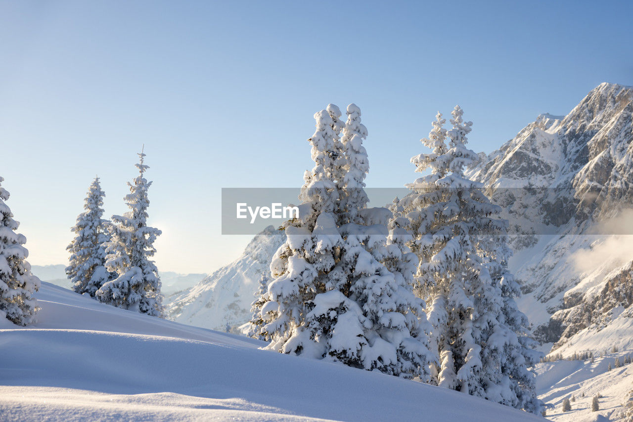 Wintertime scene. alpine winter landscape and forest in the alps during the sunset