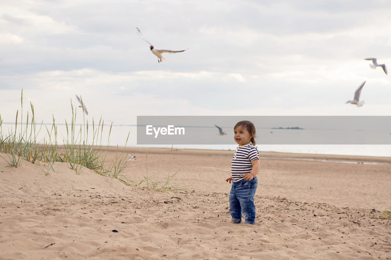 Baby boy in striped sailor t-shirt running on the sandy beach with seagulls near the sea in summer