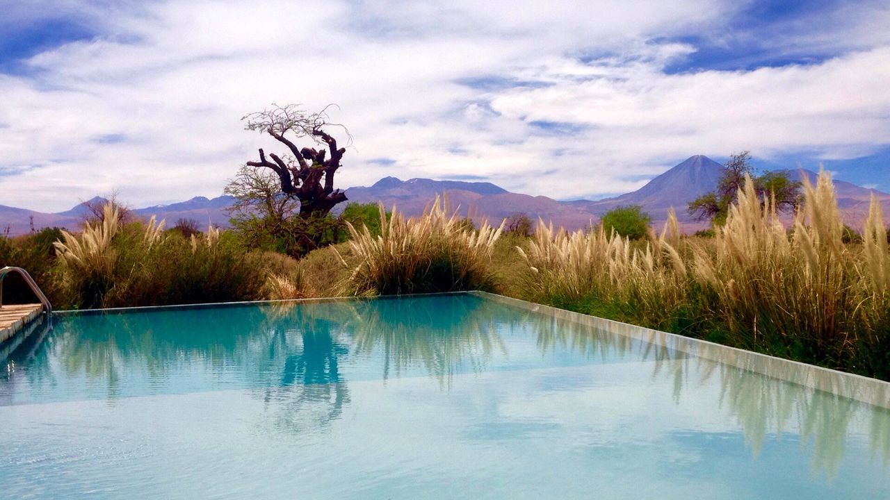 REFLECTION OF TREES AND SWIMMING POOL IN MOUNTAINS