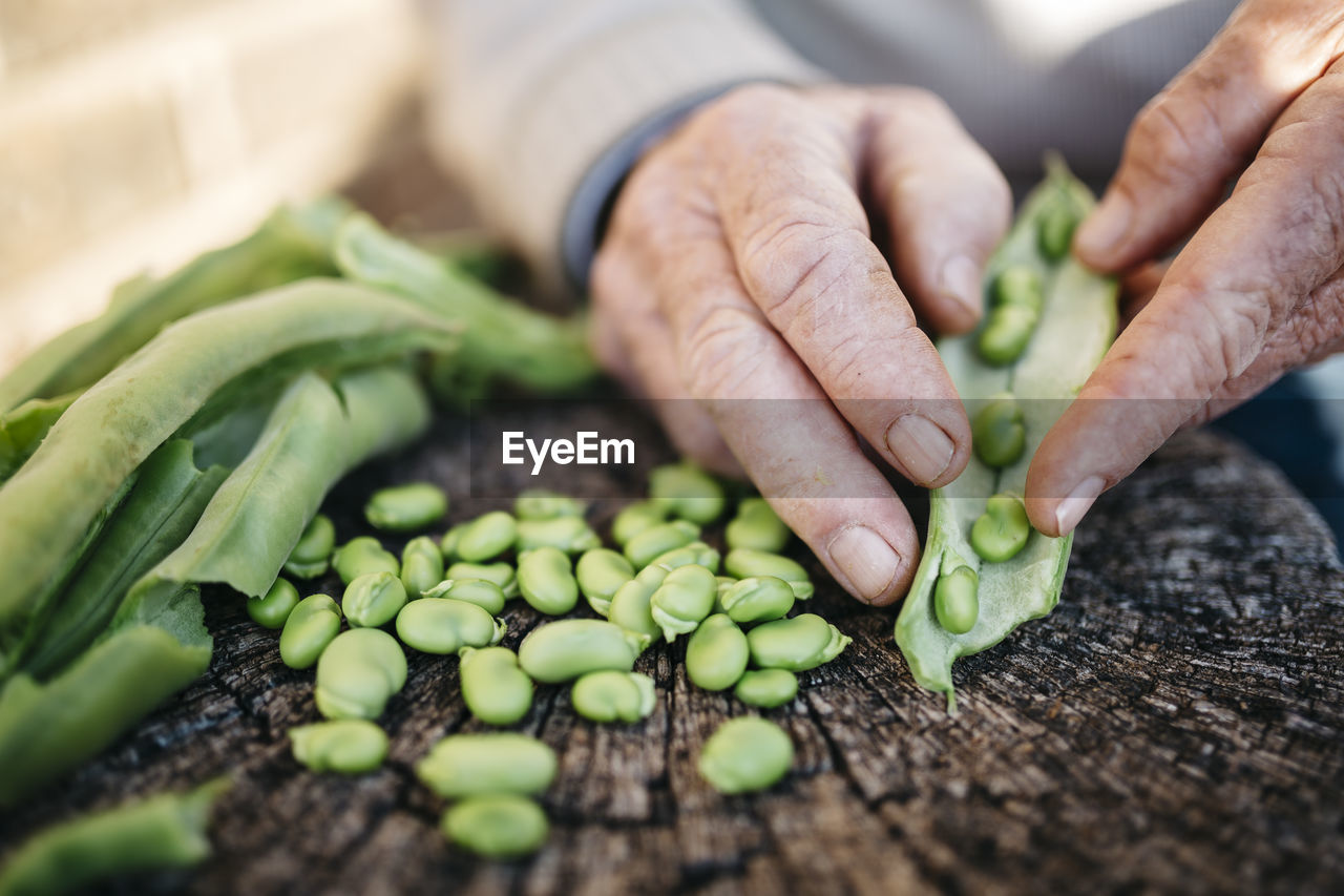 Hands of senior man peeling beans