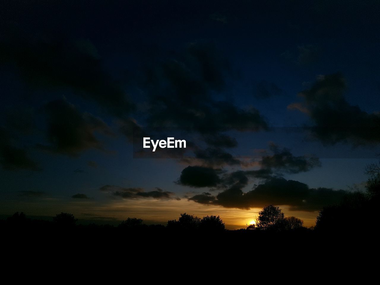 SILHOUETTE TREES AGAINST BLUE SKY AT NIGHT