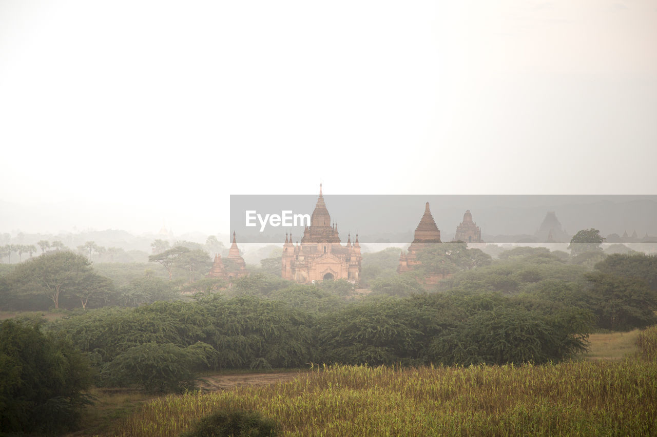 Old temples surrounded by green vegetation during sunrise in bagan