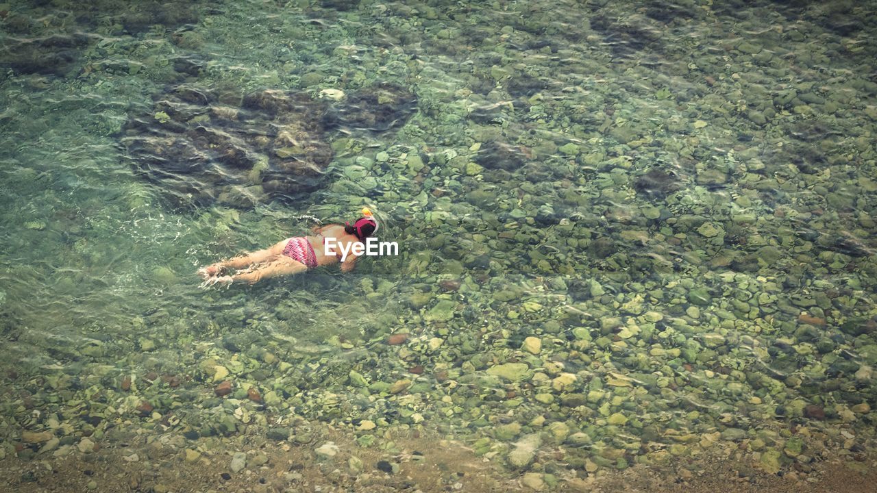 High angle view of woman swimming in sea