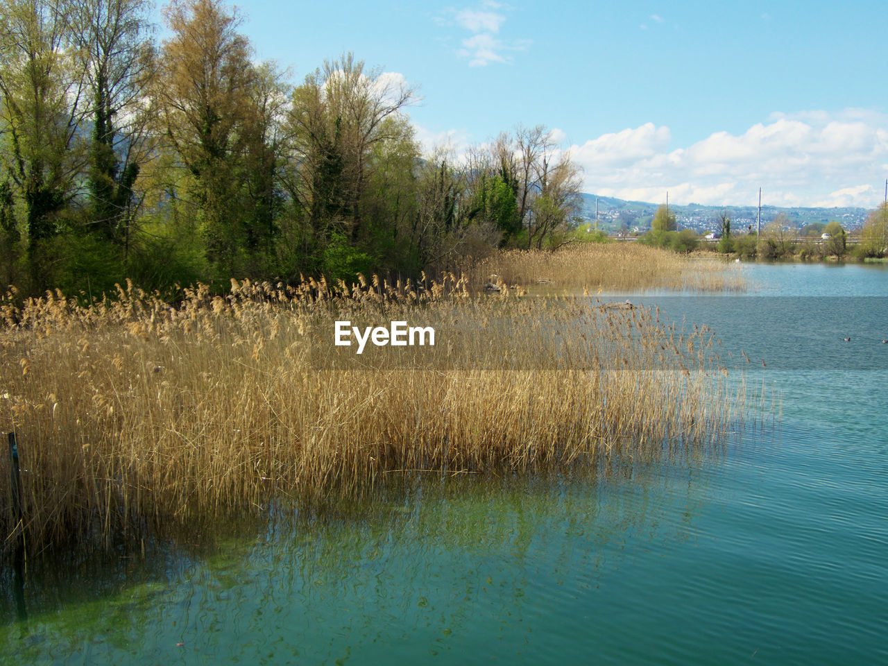 SCENIC VIEW OF LAKE