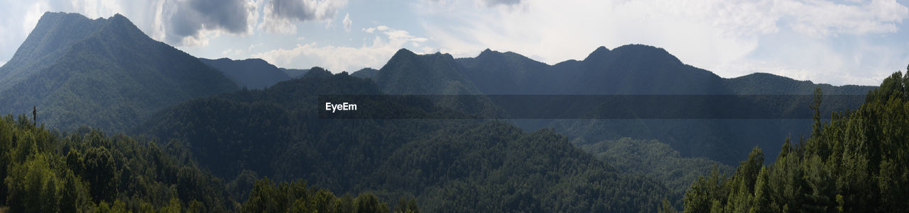 mountain, nature, panoramic, scenics - nature, wilderness, mountain range, environment, landscape, sky, land, beauty in nature, plant, tree, cloud, forest, travel destinations, mountain peak, pine tree, ridge, travel, no people, pinaceae, coniferous tree, outdoors, valley, pine woodland, fog, tourism, activity, non-urban scene, national park, tranquility, rock, tranquil scene, leisure activity