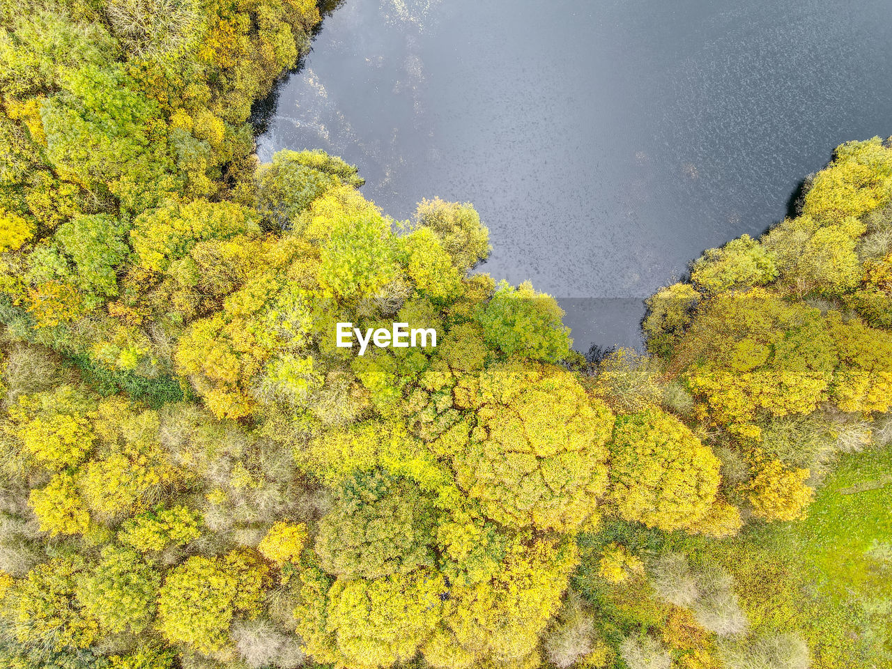 Drone photos of a lake and forest in east yorkshire, uk. autumn colours and stunning sky reflections