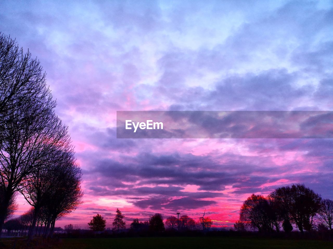 SILHOUETTE OF TREES ON FIELD AGAINST DRAMATIC SKY