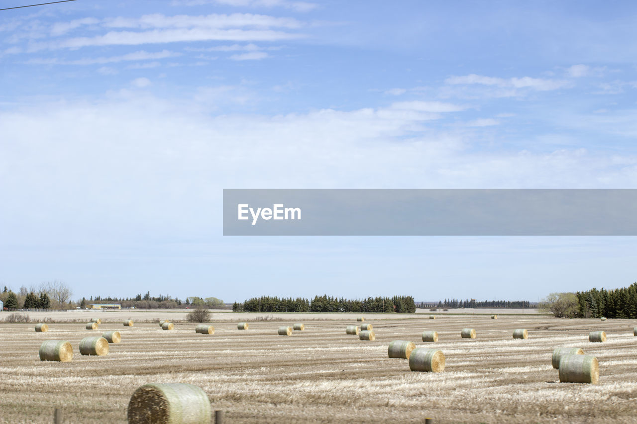 Hay bales on agricultural field against sky