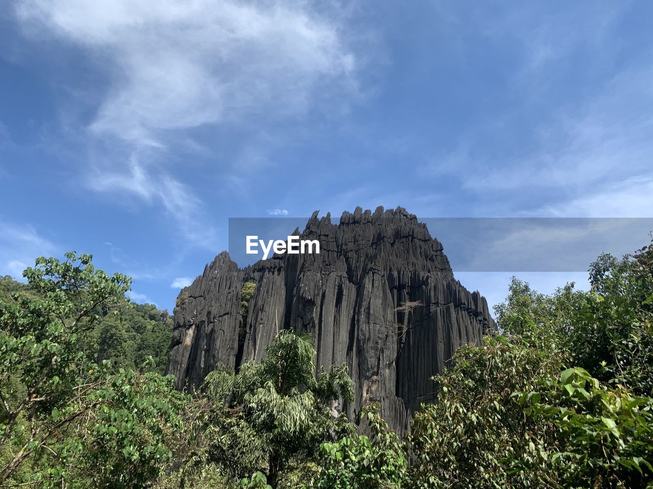 LOW ANGLE VIEW OF TREES AND MOUNTAIN AGAINST SKY