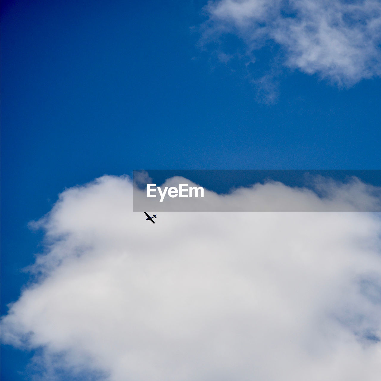 LOW ANGLE VIEW OF BIRD FLYING AGAINST SKY